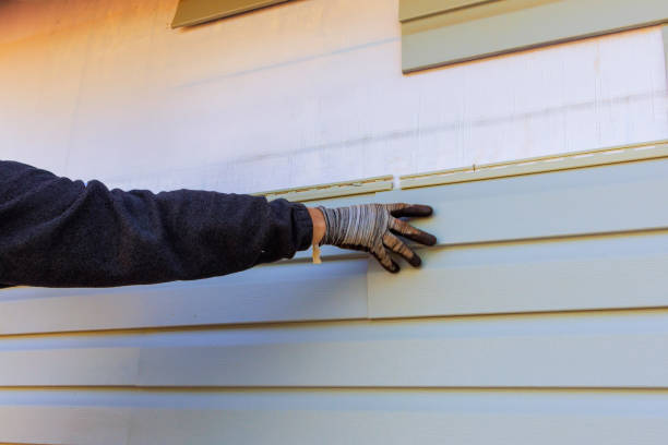 Best Custom Trim and Detailing for Siding  in Moore Haven, FL